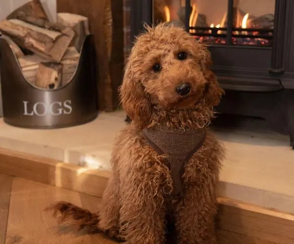 The Farrier 5* Scarborough